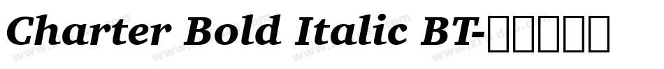 Charter Bold Italic BT字体转换